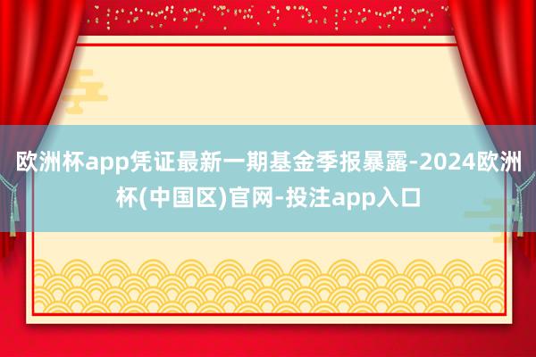 欧洲杯app凭证最新一期基金季报暴露-2024欧洲杯(中国区)官网-投注app入口
