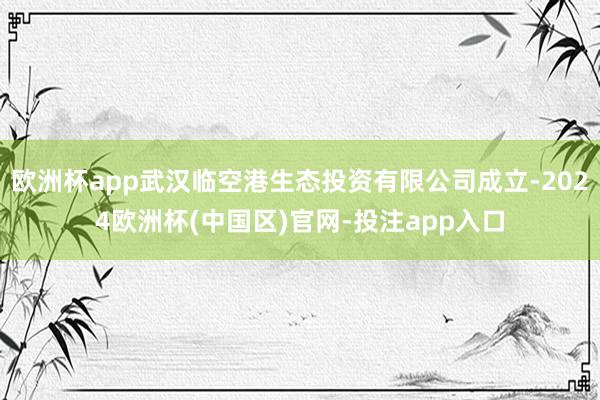 欧洲杯app武汉临空港生态投资有限公司成立-2024欧洲杯(中国区)官网-投注app入口