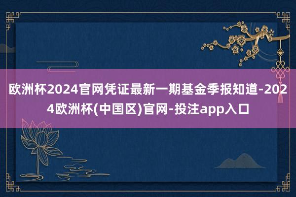欧洲杯2024官网凭证最新一期基金季报知道-2024欧洲杯(中国区)官网-投注app入口