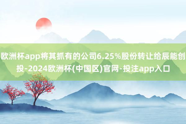 欧洲杯app将其抓有的公司6.25%股份转让给辰能创投-2024欧洲杯(中国区)官网-投注app入口
