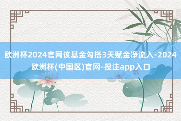 欧洲杯2024官网该基金勾搭3天赋金净流入-2024欧洲杯(中国区)官网-投注app入口