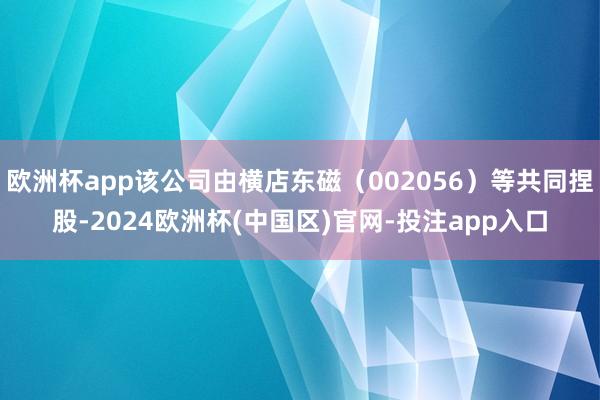 欧洲杯app该公司由横店东磁（002056）等共同捏股-2024欧洲杯(中国区)官网-投注app入口