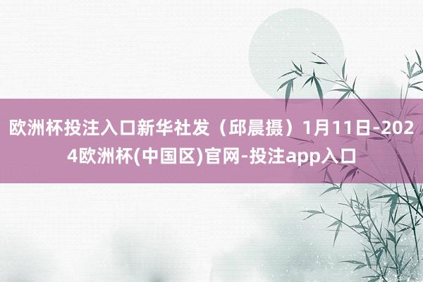 欧洲杯投注入口新华社发（邱晨摄）1月11日-2024欧洲杯(中国区)官网-投注app入口