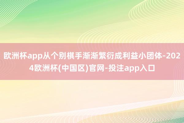 欧洲杯app从个别棋手渐渐繁衍成利益小团体-2024欧洲杯(中国区)官网-投注app入口
