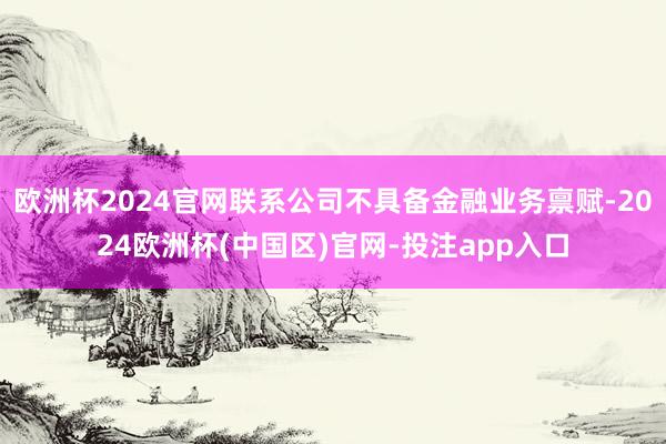 欧洲杯2024官网联系公司不具备金融业务禀赋-2024欧洲杯(中国区)官网-投注app入口