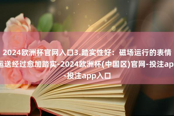 2024欧洲杯官网入口3.踏实性好：磁场运行的表情使得运送经过愈加踏实-2024欧洲杯(中国区)官网-投注app入口