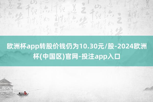 欧洲杯app转股价钱仍为10.30元/股-2024欧洲杯(中国区)官网-投注app入口