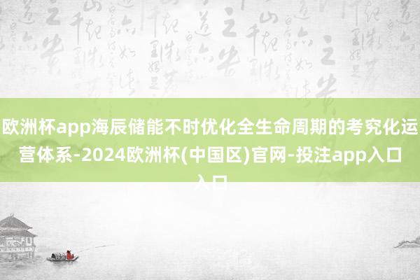 欧洲杯app海辰储能不时优化全生命周期的考究化运营体系-2024欧洲杯(中国区)官网-投注app入口