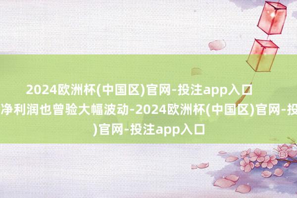 2024欧洲杯(中国区)官网-投注app入口     首程控股的净利润也曾验大幅波动-2024欧洲杯(中国区)官网-投注app入口