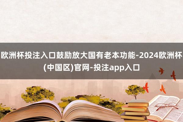 欧洲杯投注入口鼓励放大国有老本功能-2024欧洲杯(中国区)官网-投注app入口
