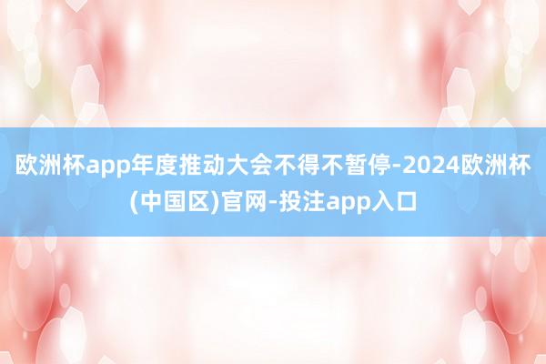 欧洲杯app年度推动大会不得不暂停-2024欧洲杯(中国区)官网-投注app入口