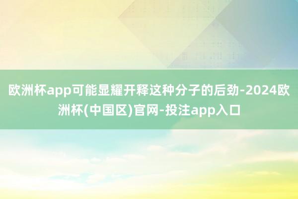 欧洲杯app可能显耀开释这种分子的后劲-2024欧洲杯(中国区)官网-投注app入口