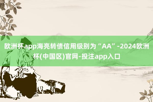 欧洲杯app海亮转债信用级别为“AA”-2024欧洲杯(中国区)官网-投注app入口