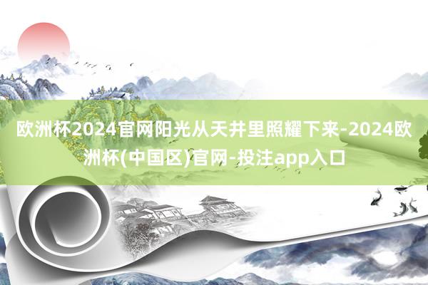 欧洲杯2024官网阳光从天井里照耀下来-2024欧洲杯(中国区)官网-投注app入口