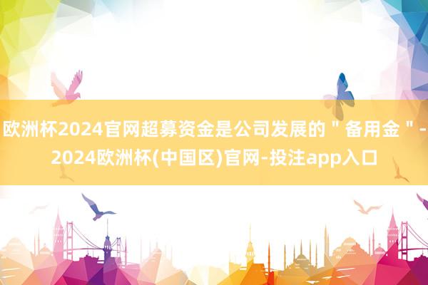 欧洲杯2024官网超募资金是公司发展的＂备用金＂-2024欧洲杯(中国区)官网-投注app入口