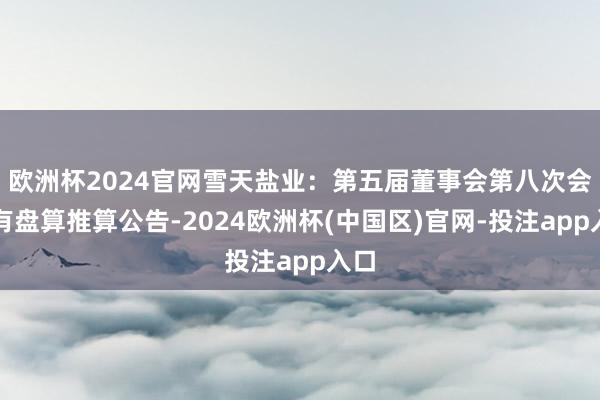 欧洲杯2024官网雪天盐业：第五届董事会第八次会议有盘算推算公告-2024欧洲杯(中国区)官网-投注app入口