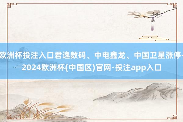 欧洲杯投注入口君逸数码、中电鑫龙、中国卫星涨停-2024欧洲杯(中国区)官网-投注app入口