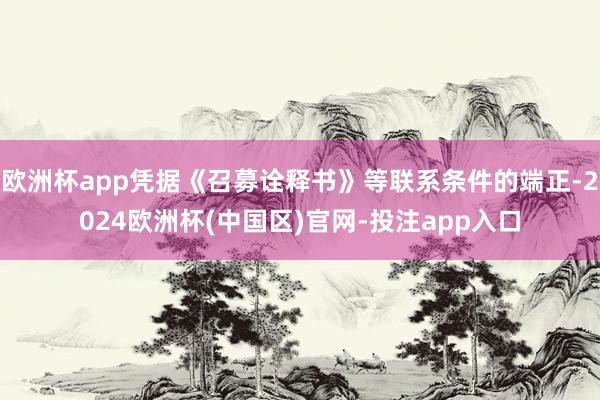 欧洲杯app凭据《召募诠释书》等联系条件的端正-2024欧洲杯(中国区)官网-投注app入口