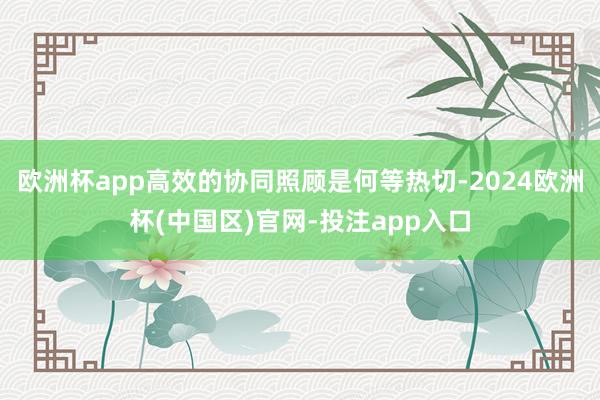 欧洲杯app高效的协同照顾是何等热切-2024欧洲杯(中国区)官网-投注app入口