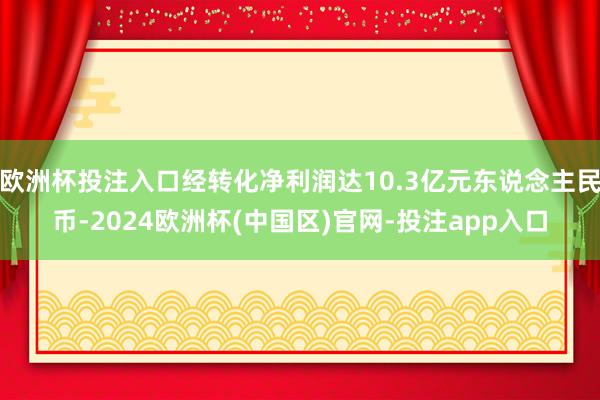欧洲杯投注入口经转化净利润达10.3亿元东说念主民币-2024欧洲杯(中国区)官网-投注app入口