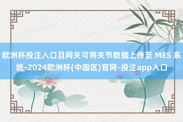 欧洲杯投注入口且网关可将关节数据上传至 MES 系统-2024欧洲杯(中国区)官网-投注app入口