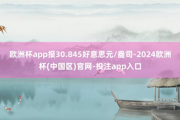 欧洲杯app报30.845好意思元/盎司-2024欧洲杯(中国区)官网-投注app入口
