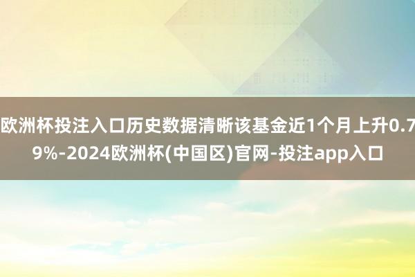 欧洲杯投注入口历史数据清晰该基金近1个月上升0.79%-2024欧洲杯(中国区)官网-投注app入口