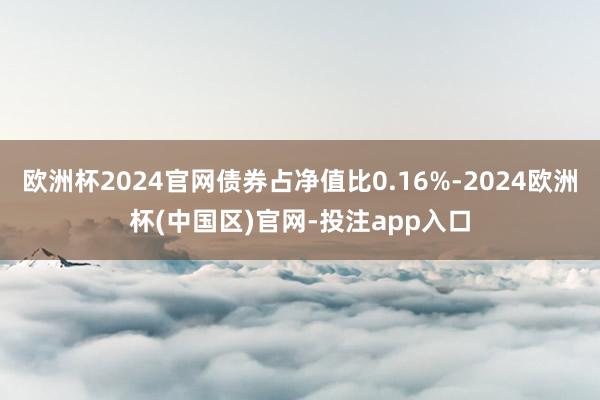 欧洲杯2024官网债券占净值比0.16%-2024欧洲杯(中国区)官网-投注app入口