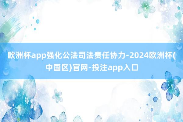 欧洲杯app强化公法司法责任协力-2024欧洲杯(中国区)官网-投注app入口
