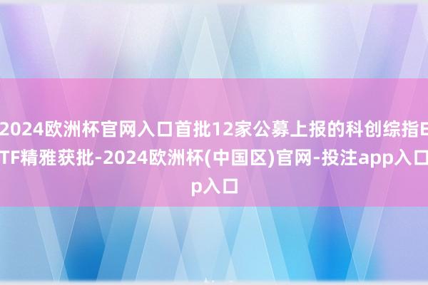 2024欧洲杯官网入口首批12家公募上报的科创综指ETF精雅获批-2024欧洲杯(中国区)官网-投注app入口