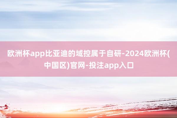 欧洲杯app比亚迪的域控属于自研-2024欧洲杯(中国区)官网-投注app入口