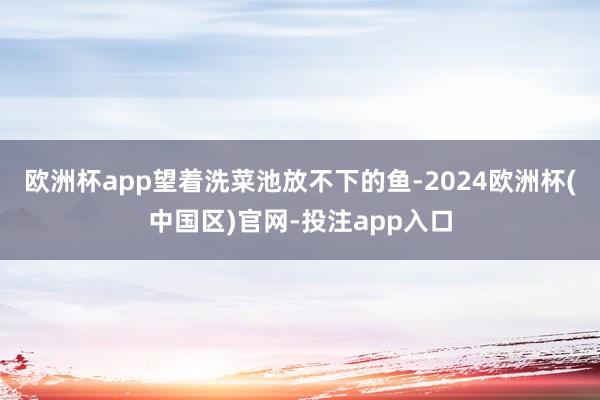 欧洲杯app望着洗菜池放不下的鱼-2024欧洲杯(中国区)官网-投注app入口
