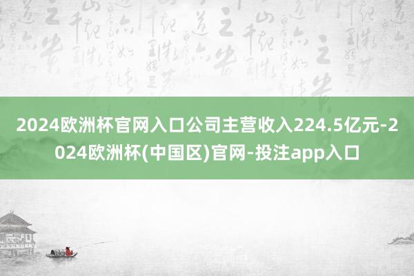 2024欧洲杯官网入口公司主营收入224.5亿元-2024欧洲杯(中国区)官网-投注app入口