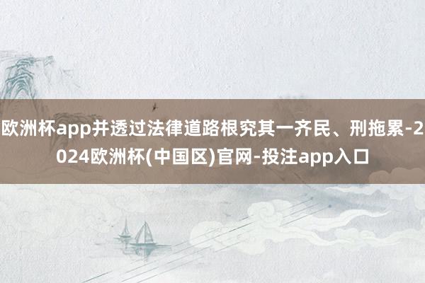 欧洲杯app并透过法律道路根究其一齐民、刑拖累-2024欧洲杯(中国区)官网-投注app入口