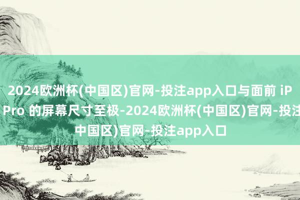 2024欧洲杯(中国区)官网-投注app入口与面前 iPhone 16 Pro 的屏幕尺寸至极-2024欧洲杯(中国区)官网-投注app入口