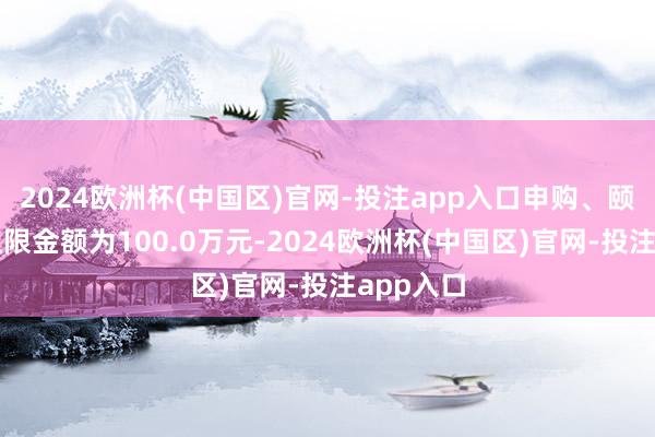 2024欧洲杯(中国区)官网-投注app入口申购、颐养转入上限金额为100.0万元-2024欧洲杯(中国区)官网-投注app入口