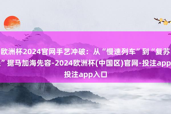 欧洲杯2024官网手艺冲破：从“慢速列车”到“复苏高铁”据马加海先容-2024欧洲杯(中国区)官网-投注app入口