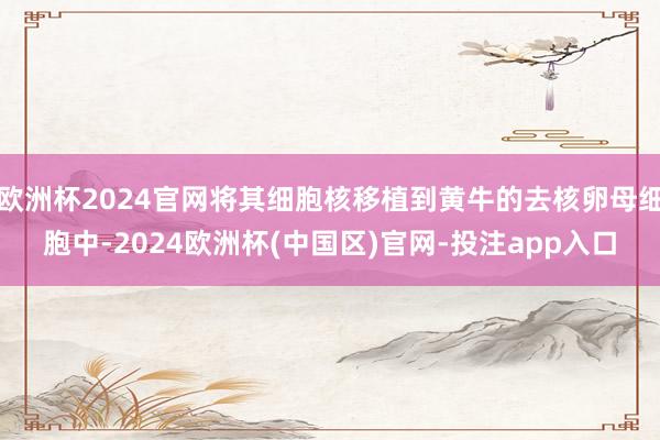 欧洲杯2024官网将其细胞核移植到黄牛的去核卵母细胞中-2024欧洲杯(中国区)官网-投注app入口